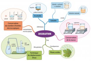 Carte mentale - Chapitre 4